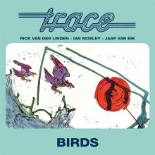 TRACE - BIRDS