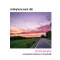 ROCKING HORSE MUSIC CLUB - THE LAST PINK GLOW