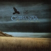 CIRRHA NIVA - FOR MOMENTS NEVER DONE