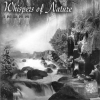 INDRA Whispers Of Nature