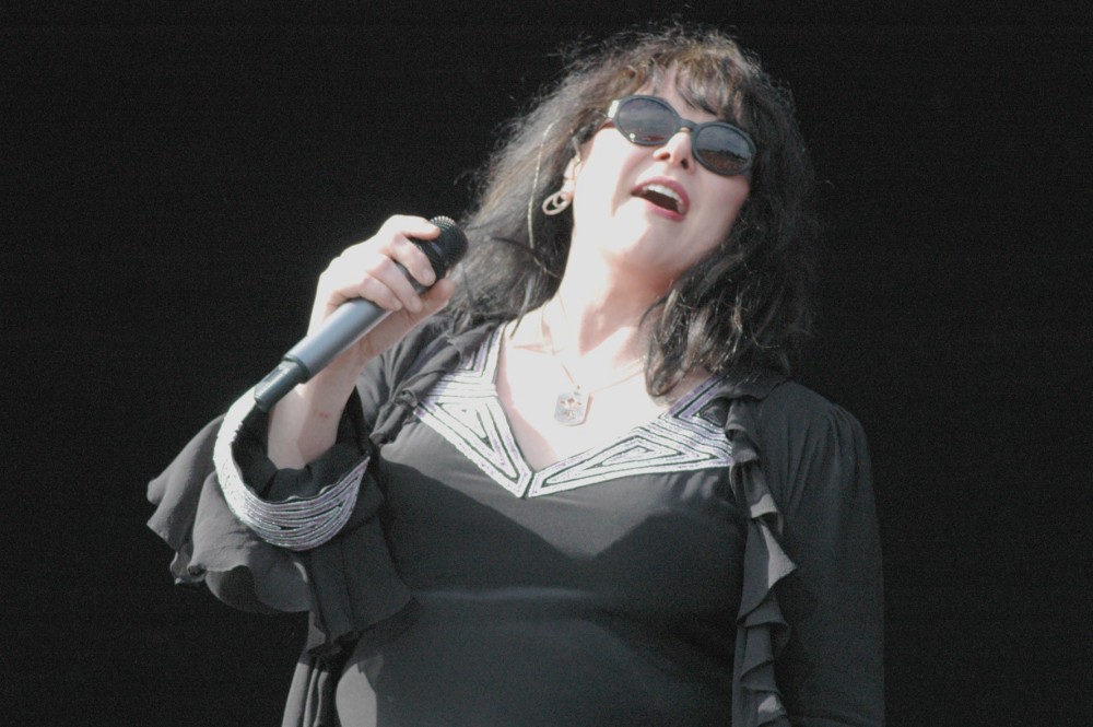 Ann Wilson #2