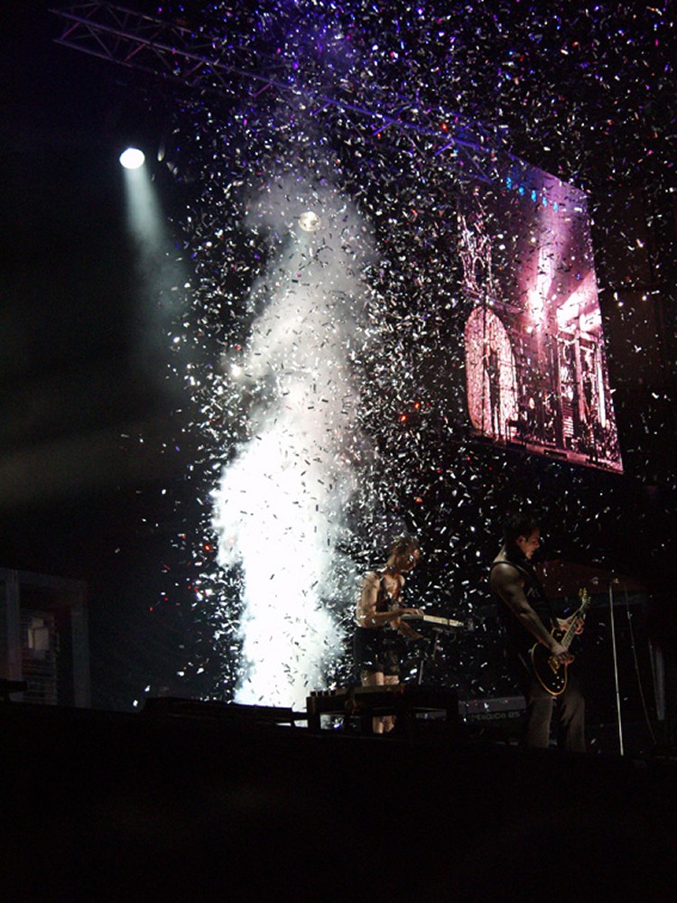 Rammstein #45