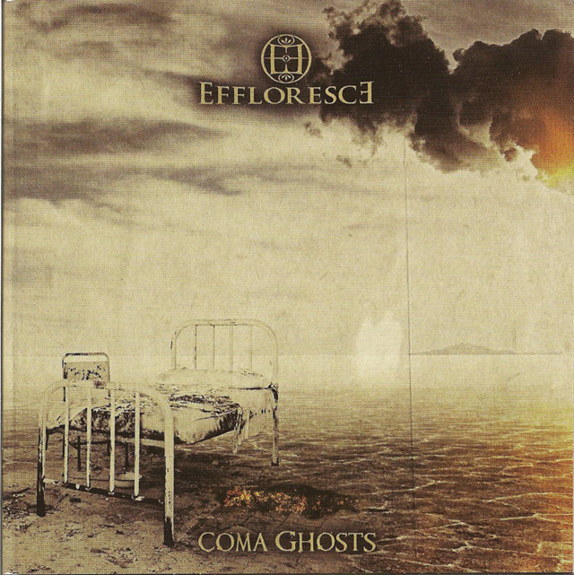 COMA GHOSTS